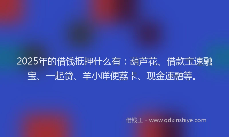 2025年的借钱抵押什么有：葫芦花、借款宝速融宝、一起贷、羊小咩便荔卡、现金速融等。