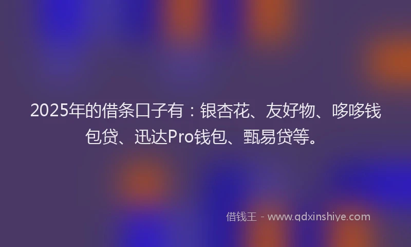 2025年的借条口子有：银杏花、友好物、哆哆钱包贷、迅达Pro钱包、甄易贷等。