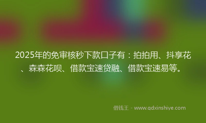 2025年的免审核秒下款口子有：拍拍用、抖享花、森森花呗、借款宝速贷融、借款宝速易等。