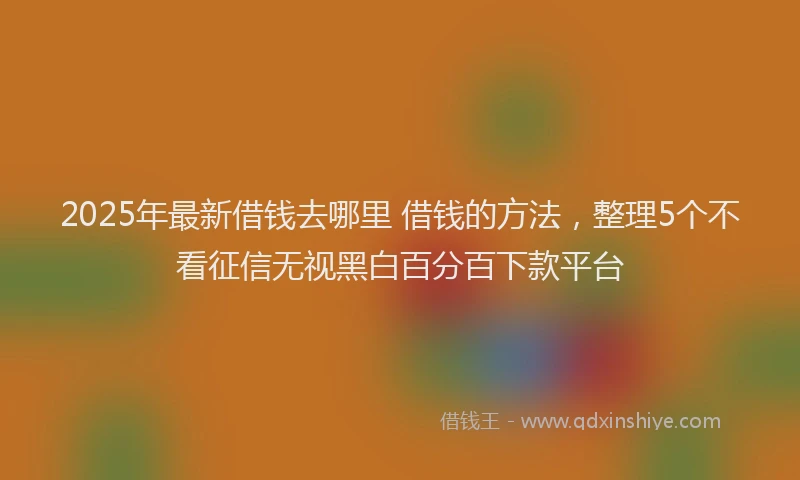 2025年最新借钱去哪里 借钱的方法，整理5个不看征信无视黑白百分百下款平台