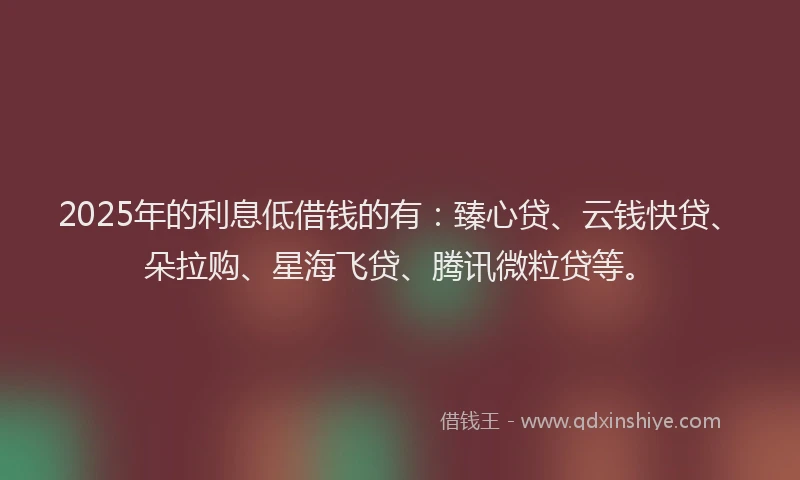 2025年的利息低借钱的有：臻心贷、云钱快贷、朵拉购、星海飞贷、腾讯微粒贷等。