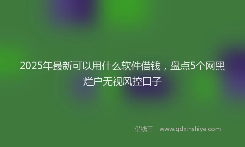 2025年最新可以用什么软件借钱，盘点5个网黑烂户无视风控口子