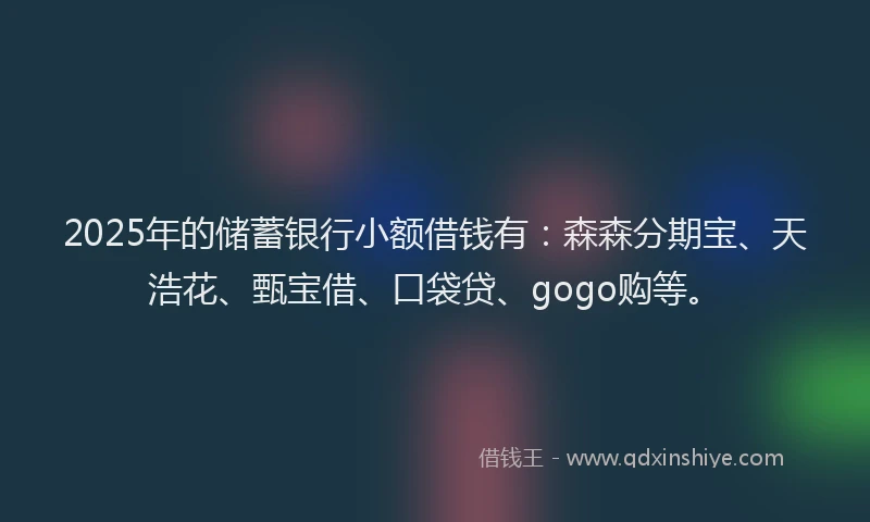 2025年的储蓄银行小额借钱有：森森分期宝、天浩花、甄宝借、口袋贷、gogo购等。
