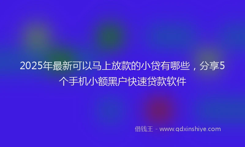 2025年最新可以马上放款的小贷有哪些，分享5个手机小额黑户快速贷款软件