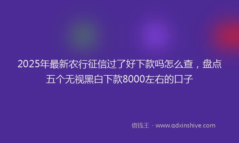2025年最新农行征信过了好下款吗怎么查，盘点五个无视黑白下款8000左右的口子
