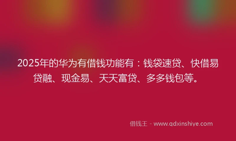 2025年的华为有借钱功能有：钱袋速贷、快借易贷融、现金易、天天富贷、多多钱包等。