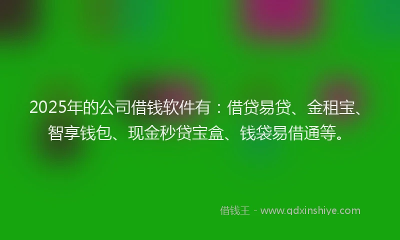 2025年的公司借钱软件有：借贷易贷、金租宝、智享钱包、现金秒贷宝盒、钱袋易借通等。