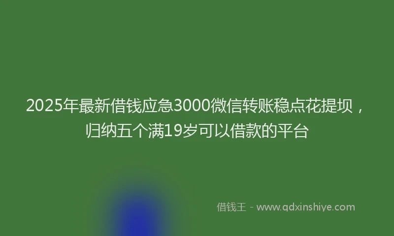 2025年最新借钱应急3000微信转账稳点花提坝，归纳五个满19岁可以借款的平台