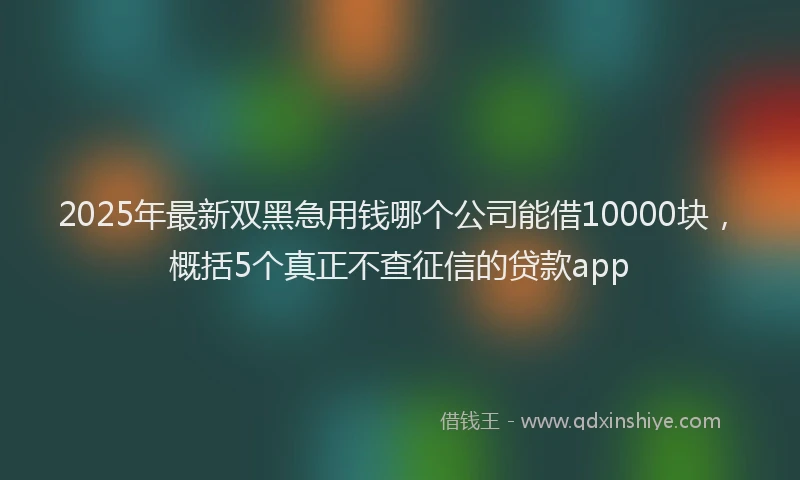 2025年最新双黑急用钱哪个公司能借10000块，概括5个真正不查征信的贷款app