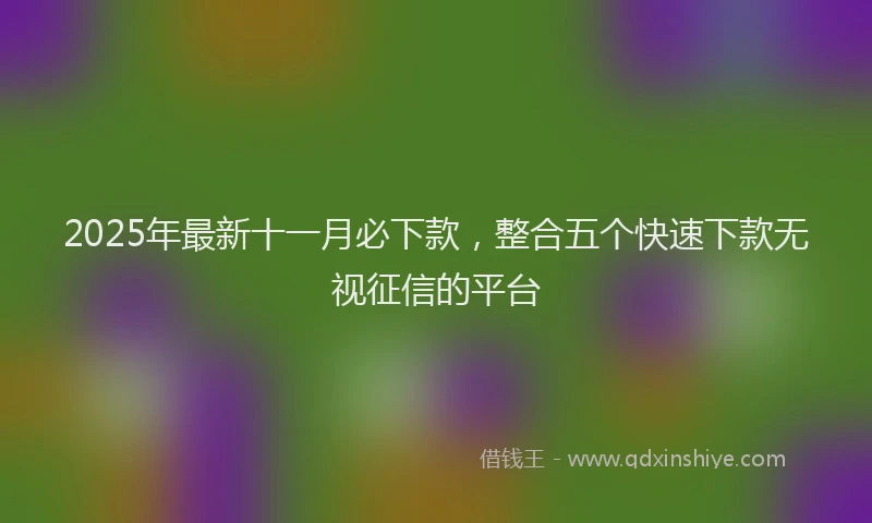 2025年最新十一月必下款，整合五个快速下款无视征信的平台