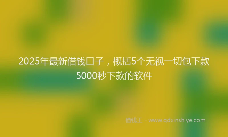 2025年最新借钱口子，概括5个无视一切包下款5000秒下款的软件