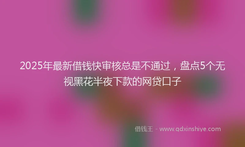 2025年最新借钱快审核总是不通过，盘点5个无视黑花半夜下款的网贷口子
