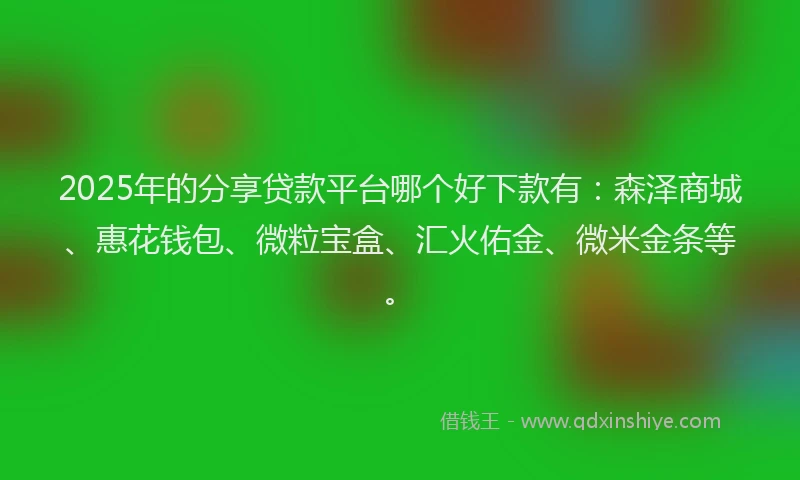2025年的分享贷款平台哪个好下款有：森泽商城、惠花钱包、微粒宝盒、汇火佑金、微米金条等。