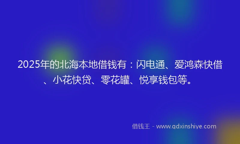 2025年的北海本地借钱有：闪电通、爱鸿森快借、小花快贷、零花罐、悦享钱包等。