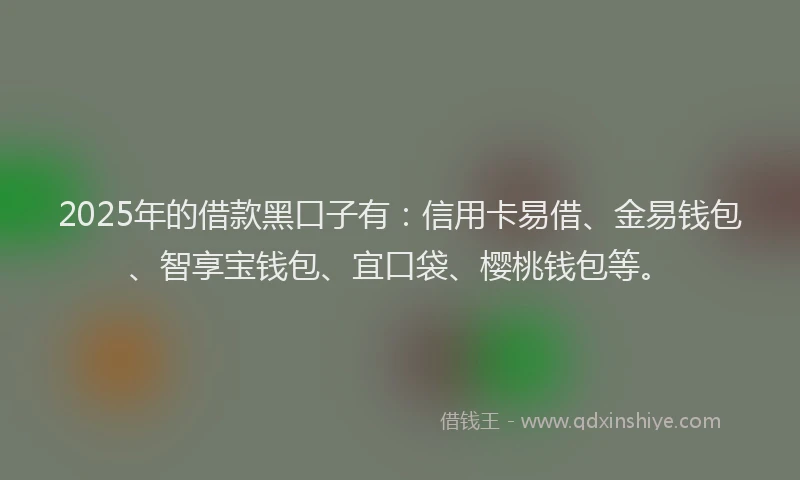 2025年的借款黑口子有：信用卡易借、金易钱包、智享宝钱包、宜口袋、樱桃钱包等。