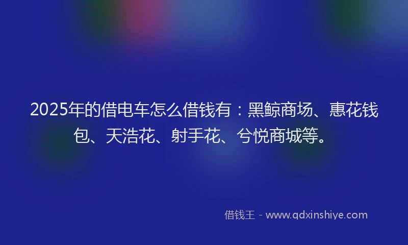 2025年的借电车怎么借钱有：黑鲸商场、惠花钱包、天浩花、射手花、兮悦商城等。
