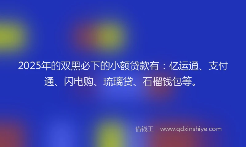 2025年的双黑必下的小额贷款有：亿运通、支付通、闪电购、琉璃贷、石榴钱包等。