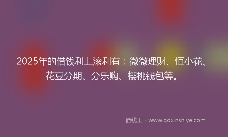 2025年的借钱利上滚利有：微微理财、恒小花、花豆分期、分乐购、樱桃钱包等。
