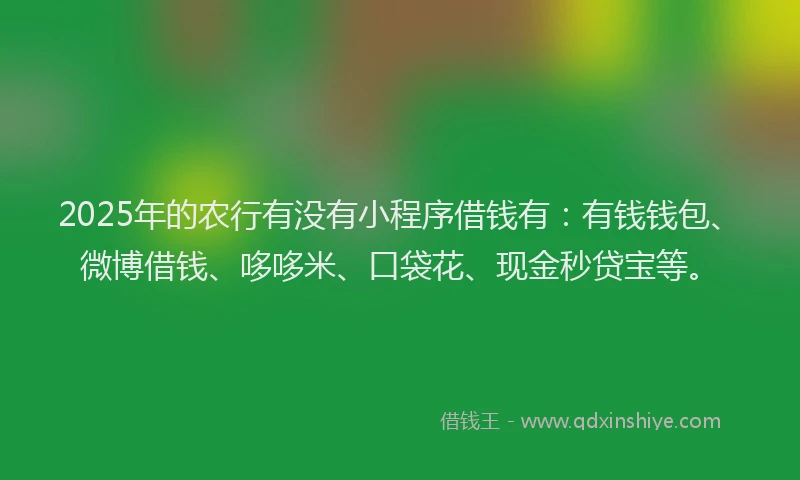 2025年的农行有没有小程序借钱有：有钱钱包、微博借钱、哆哆米、口袋花、现金秒贷宝等。