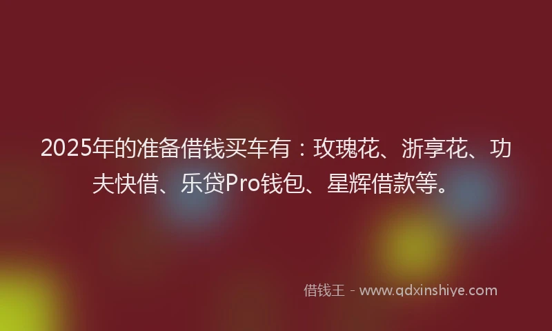 2025年的准备借钱买车有：玫瑰花、浙享花、功夫快借、乐贷Pro钱包、星辉借款等。