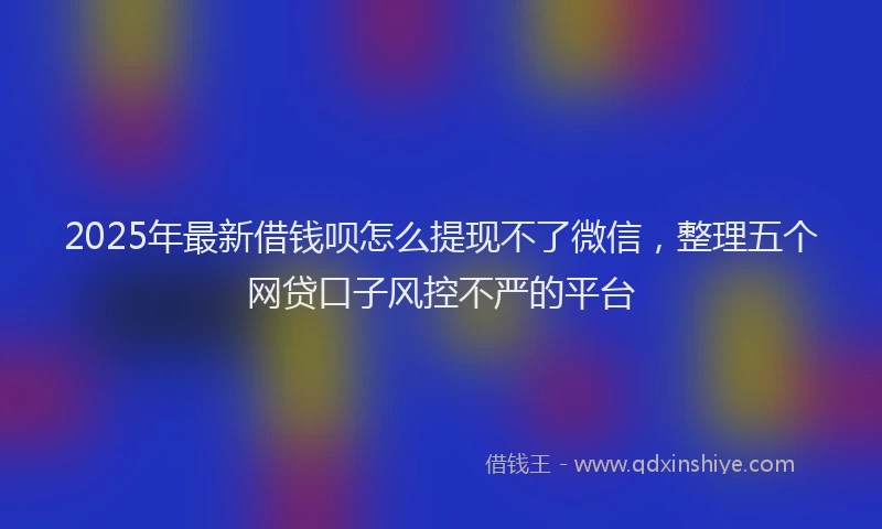 2025年最新借钱呗怎么提现不了微信，整理五个网贷口子风控不严的平台