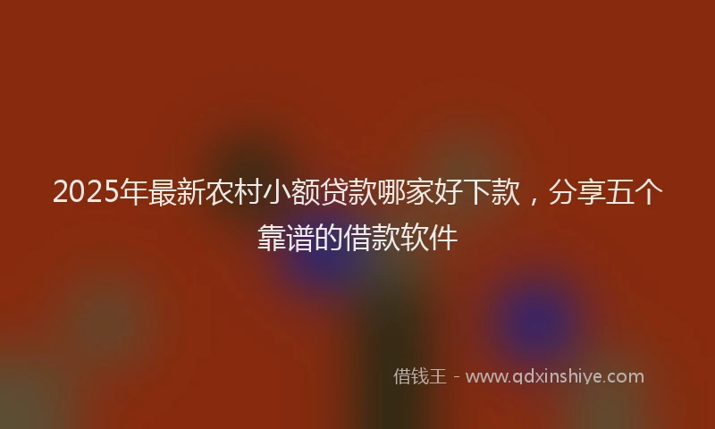 2025年最新农村小额贷款哪家好下款，分享五个靠谱的借款软件