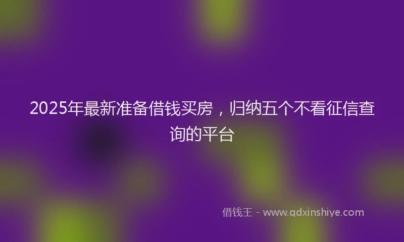 2025年最新准备借钱买房，归纳五个不看征信查询的平台