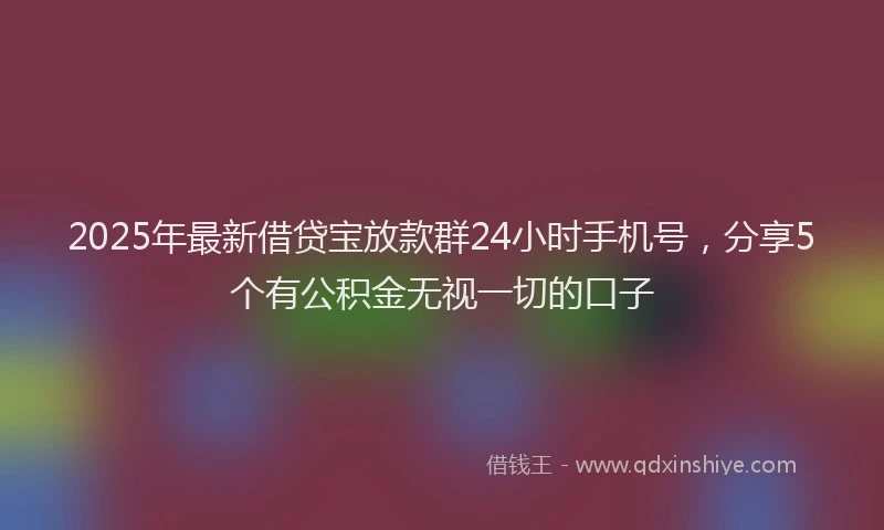 2025年最新借贷宝放款群24小时手机号，分享5个有公积金无视一切的口子