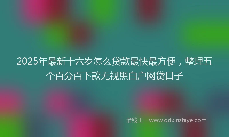 2025年最新十六岁怎么贷款最快最方便，整理五个百分百下款无视黑白户网贷口子