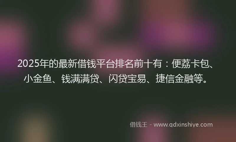2025年的最新借钱平台排名前十有：便荔卡包、小金鱼、钱满满贷、闪贷宝易、捷信金融等。