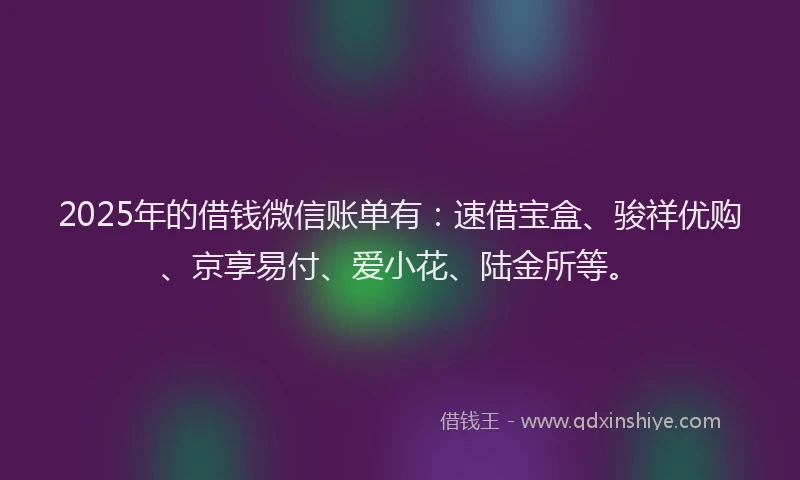 2025年的借钱微信账单有：速借宝盒、骏祥优购、京享易付、爱小花、陆金所等。