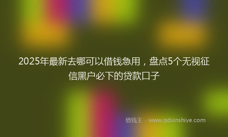 2025年最新去哪可以借钱急用，盘点5个无视征信黑户必下的贷款口子