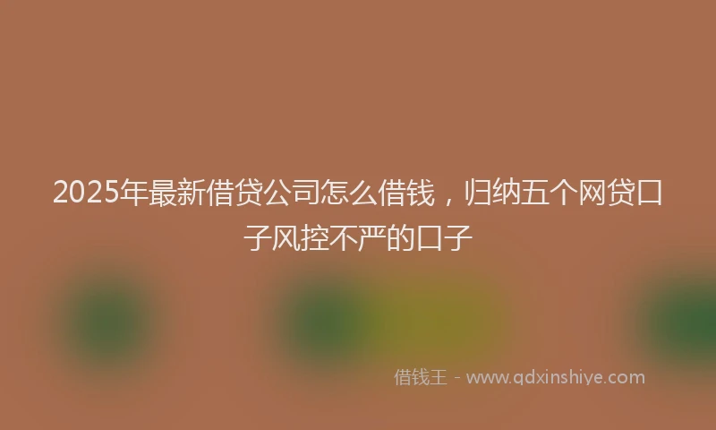 2025年最新借贷公司怎么借钱，归纳五个网贷口子风控不严的口子