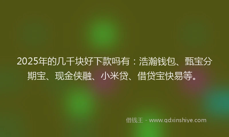 2025年的几千块好下款吗有：浩瀚钱包、甄宝分期宝、现金侠融、小米贷、借贷宝快易等。