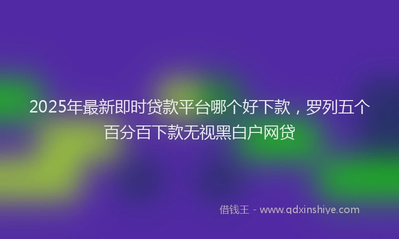 2025年最新即时贷款平台哪个好下款，罗列五个百分百下款无视黑白户网贷