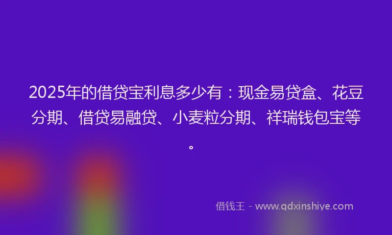 2025年的借贷宝利息多少有：现金易贷盒、花豆分期、借贷易融贷、小麦粒分期、祥瑞钱包宝等。