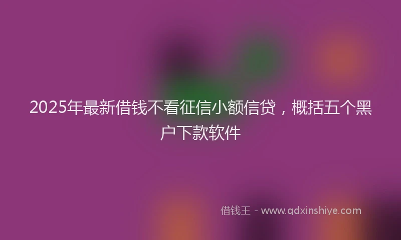 2025年最新借钱不看征信小额信贷，概括五个黑户下款软件
