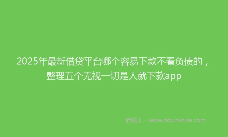 2025年最新借贷平台哪个容易下款不看负债的，整理五个无视一切是人就下款app