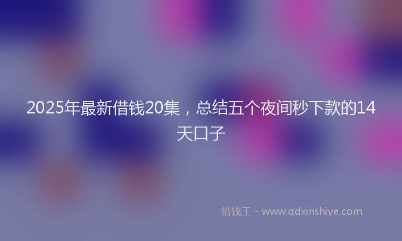 2025年最新借钱20集，总结五个夜间秒下款的14天口子