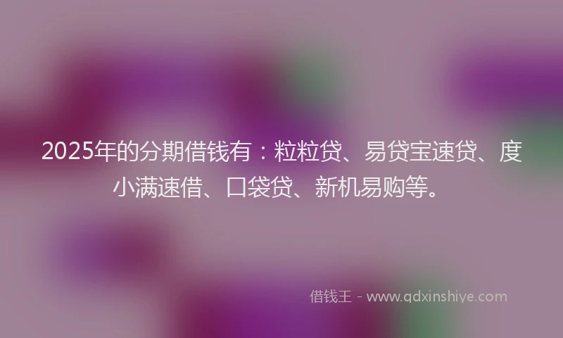 2025年的分期借钱有：粒粒贷、易贷宝速贷、度小满速借、口袋贷、新机易购等。