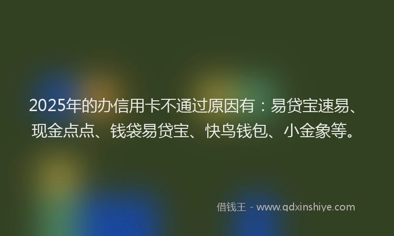 2025年的办信用卡不通过原因有：易贷宝速易、现金点点、钱袋易贷宝、快鸟钱包、小金象等。