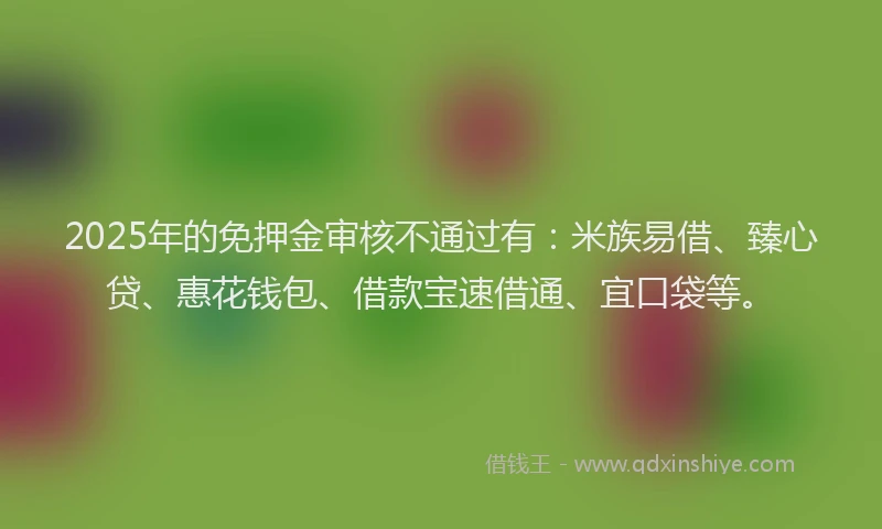 2025年的免押金审核不通过有：米族易借、臻心贷、惠花钱包、借款宝速借通、宜口袋等。