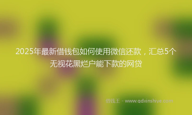 2025年最新借钱包如何使用微信还款，汇总5个无视花黑烂户能下款的网贷