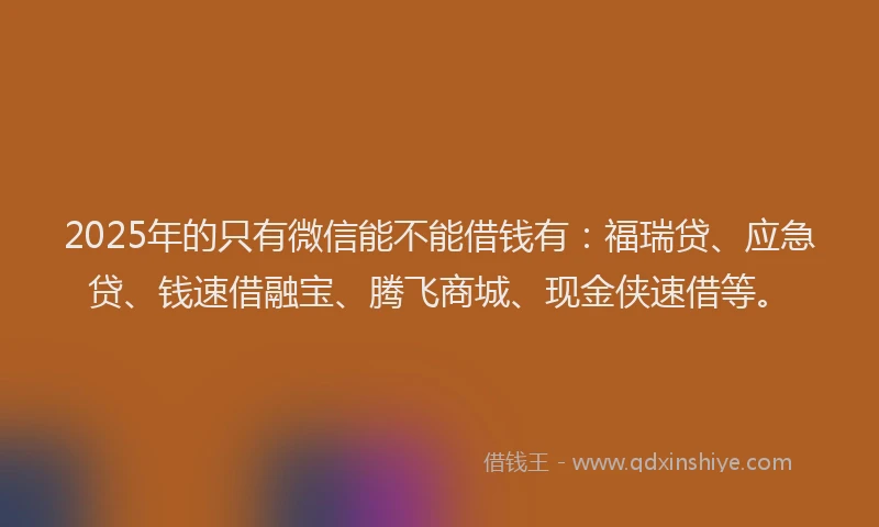 2025年的只有微信能不能借钱有：福瑞贷、应急贷、钱速借融宝、腾飞商城、现金侠速借等。