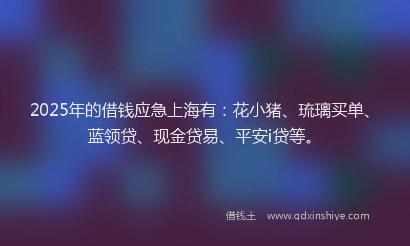 2025年的借钱应急上海有：花小猪、琉璃买单、蓝领贷、现金贷易、平安i贷等。