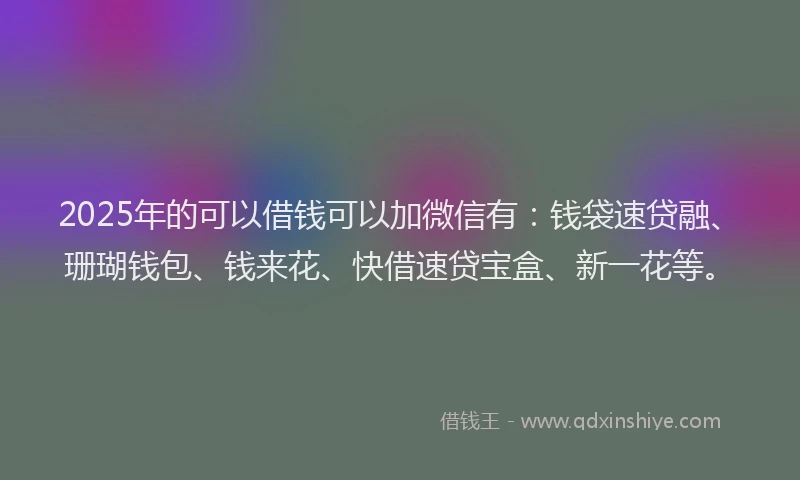 2025年的可以借钱可以加微信有：钱袋速贷融、珊瑚钱包、钱来花、快借速贷宝盒、新一花等。