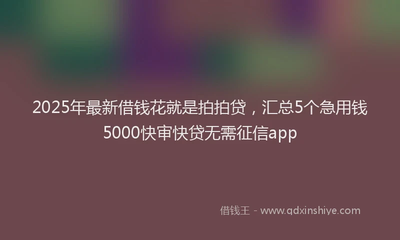 2025年最新借钱花就是拍拍贷，汇总5个急用钱5000快审快贷无需征信app