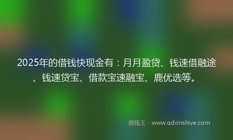 2025年的借钱快现金有：月月盈贷、钱速借融途、钱速贷宝、借款宝速融宝、鹿优选等。