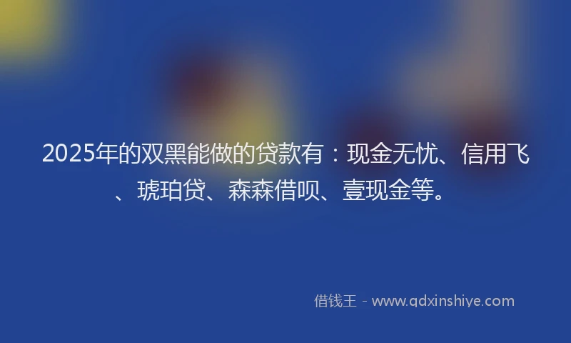 2025年的双黑能做的贷款有：现金无忧、信用飞、琥珀贷、森森借呗、壹现金等。