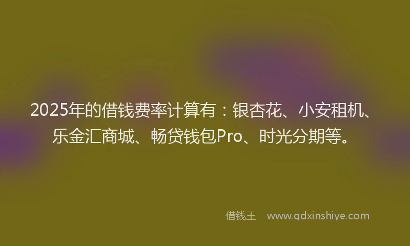 2025年的借钱费率计算有：银杏花、小安租机、乐金汇商城、畅贷钱包Pro、时光分期等。